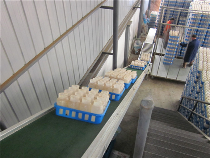 食品菌菇生产线2