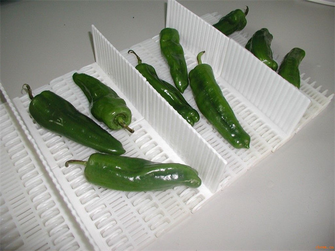 果蔬生产线 (6).jpg